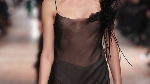Georgia Fowler See Through on the Runway 3
