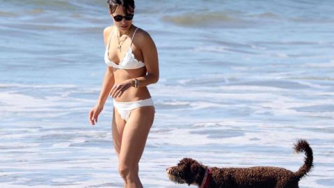 Jordana Brewster White Bikini Pokies 9