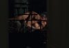 Monica bellucci nude the ages of love (2011) 1