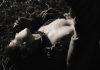 Noomi rapace sexy the secrets we keep (2020) 6