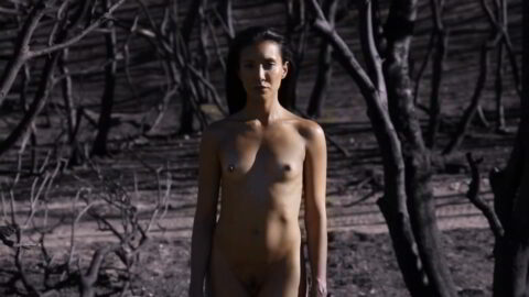 Nicole Branch Nude Gravitate 2014 01