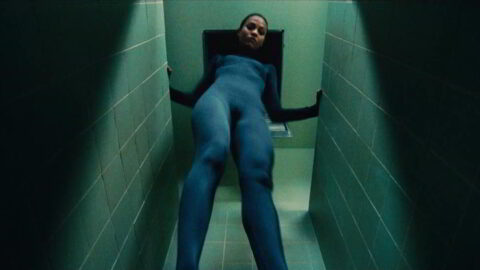 Zoe Saldana Nude Colombiana 2011 24