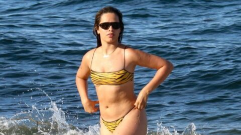 Camila Cabello Gets Sexy in a Tiny Yellow Animal Print Bikini on the Beach in Coral Gables 17