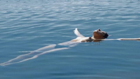 Ines Recher Nude Pelicula 2017 1