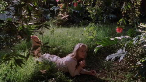 Meryl Streep Sexy Adaptation 2002 5