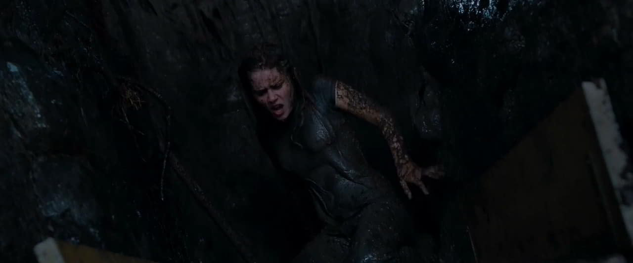 Alison Lohman topless Drag Me to Hell Alison Lohman topless Drag Me to Hell