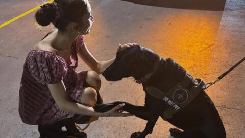 Ariana Grande Braless Downblouse With Visible Boob While Petting a K9 Dog Backstage at Kia Forum 7