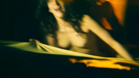 Barbara Romaner Nude Mahler auf der Couch 2010 5