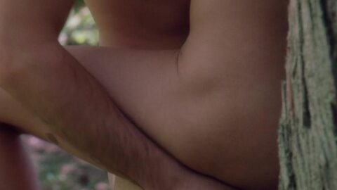 Naomi Watts Sexy We Dont Live Here Anymore 2004 3