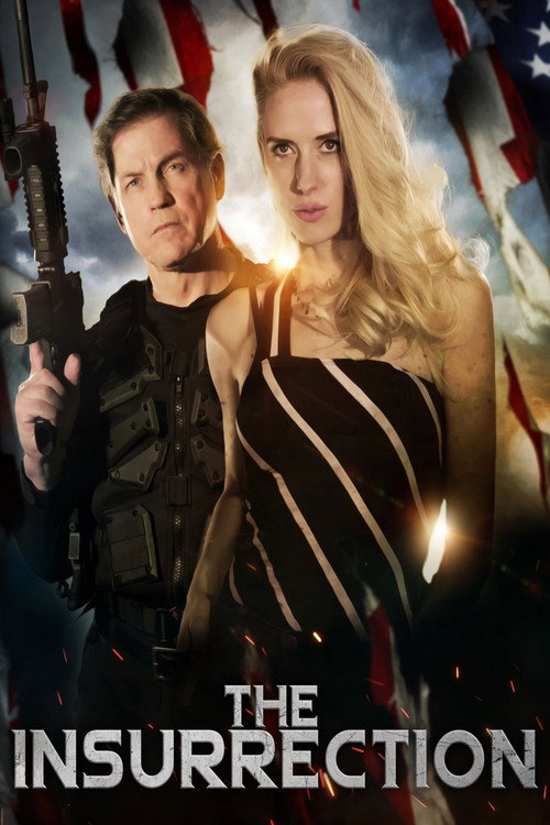 The Insurrection (2020)
