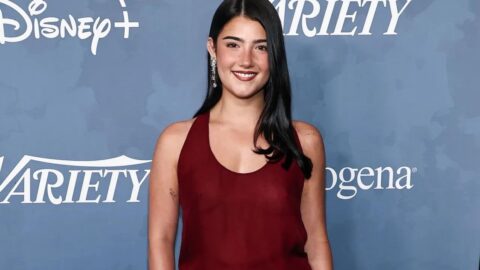 Charli DAmelio Flashes Nipples in Braless Sheer Burgundy Outfit 8